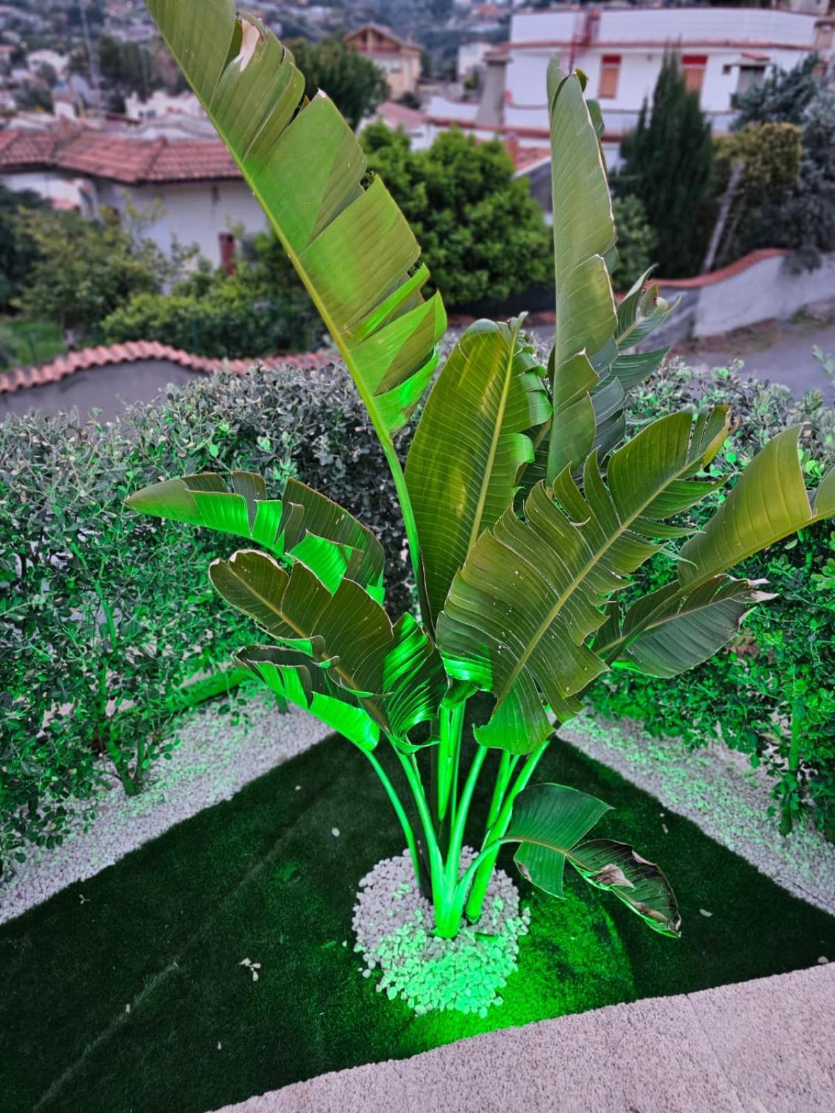 Casa Maya ブルコリ エクステリア 写真